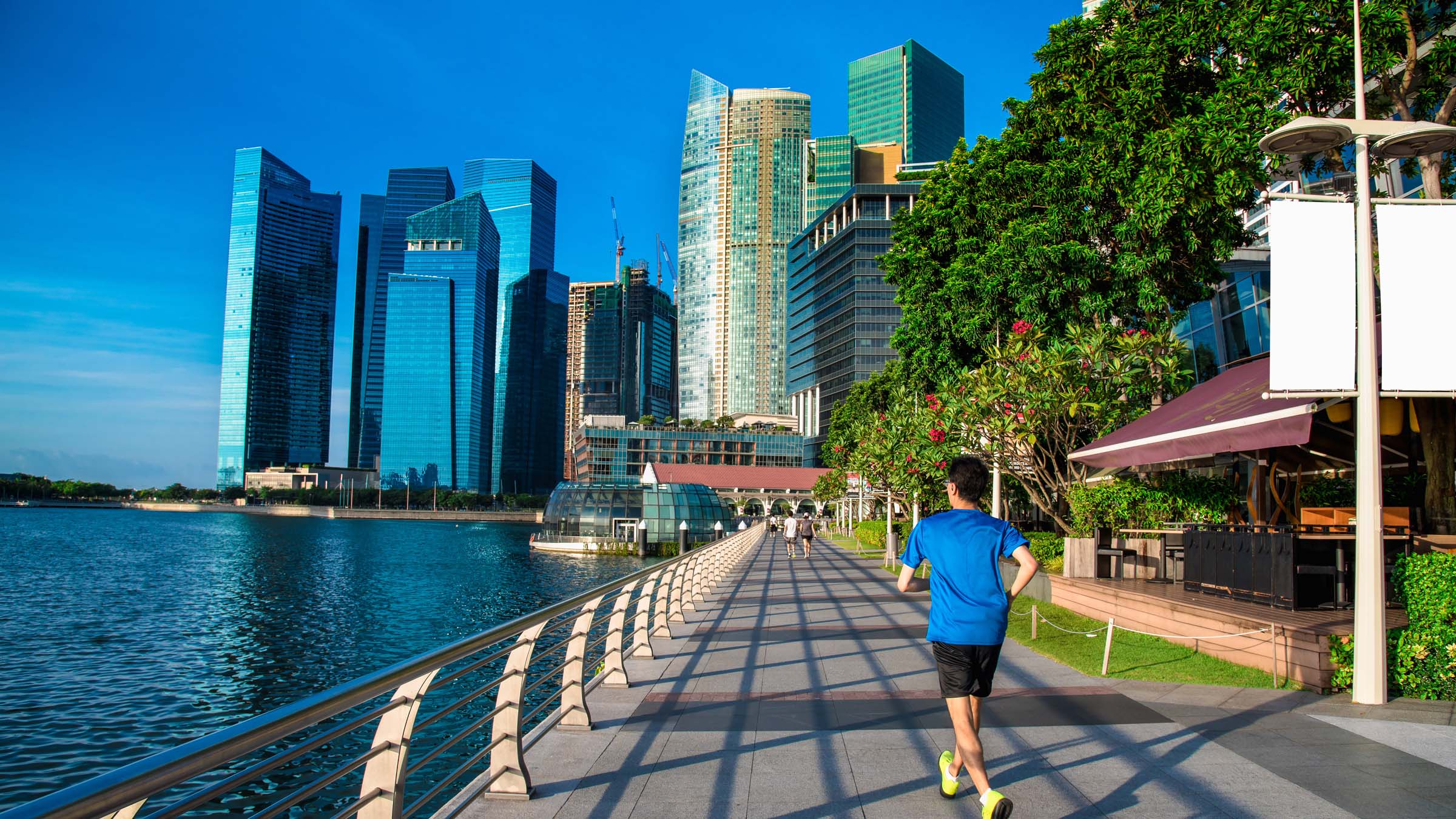 Cistri Perspectives Singapore Secrets Hero