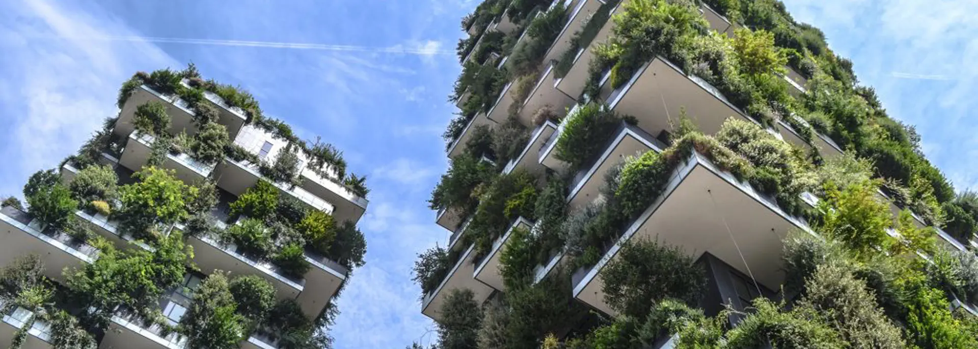 Sustainability Frameworks 1 1024X682